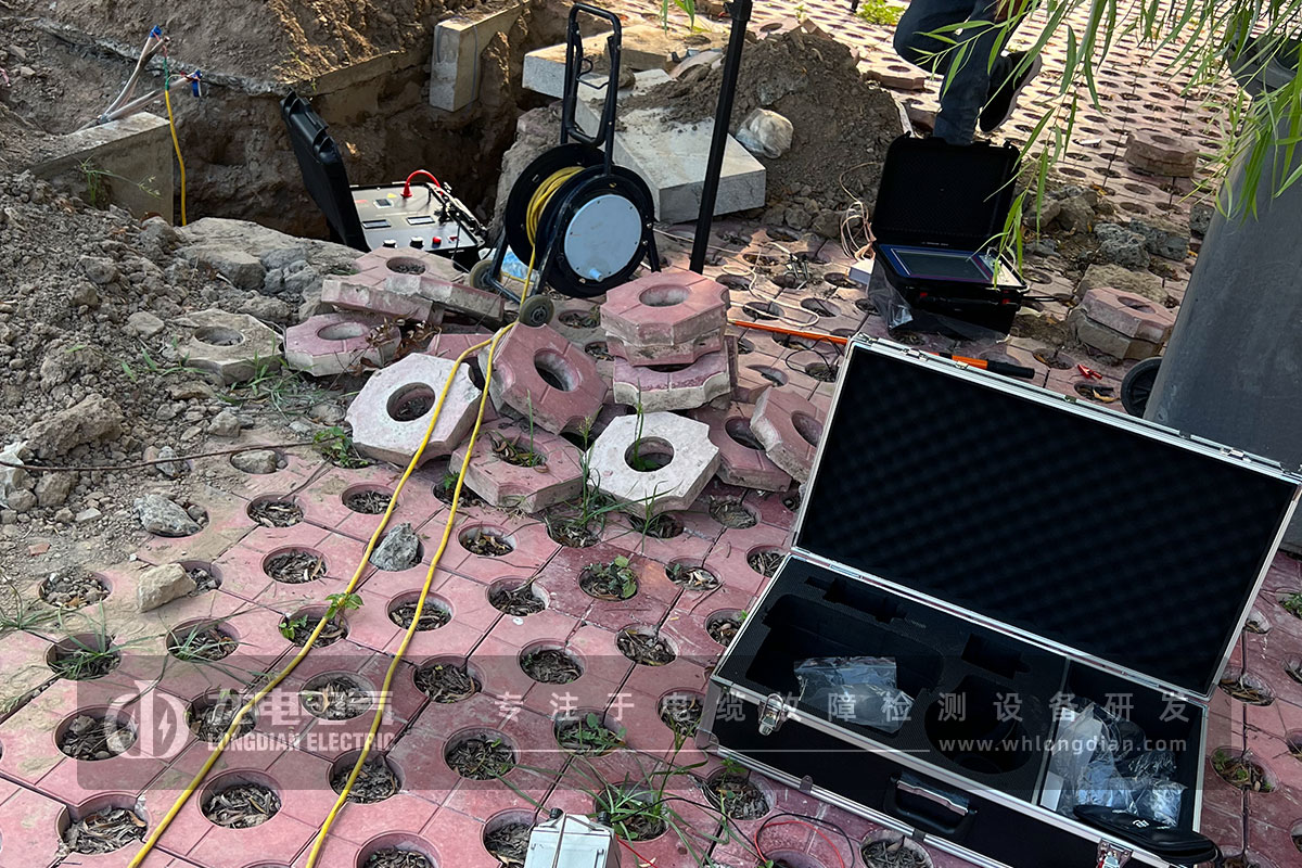 1742957727558870.jpg DL03.jpg